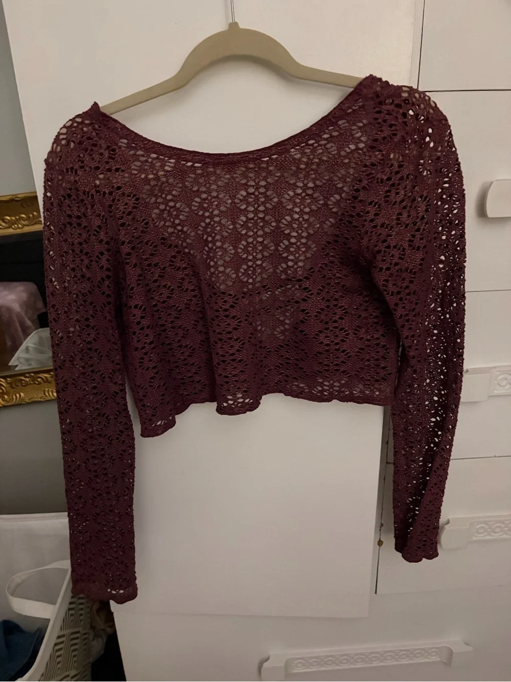 Free People Burgundy Crochet Long-Sleeve Crop Top